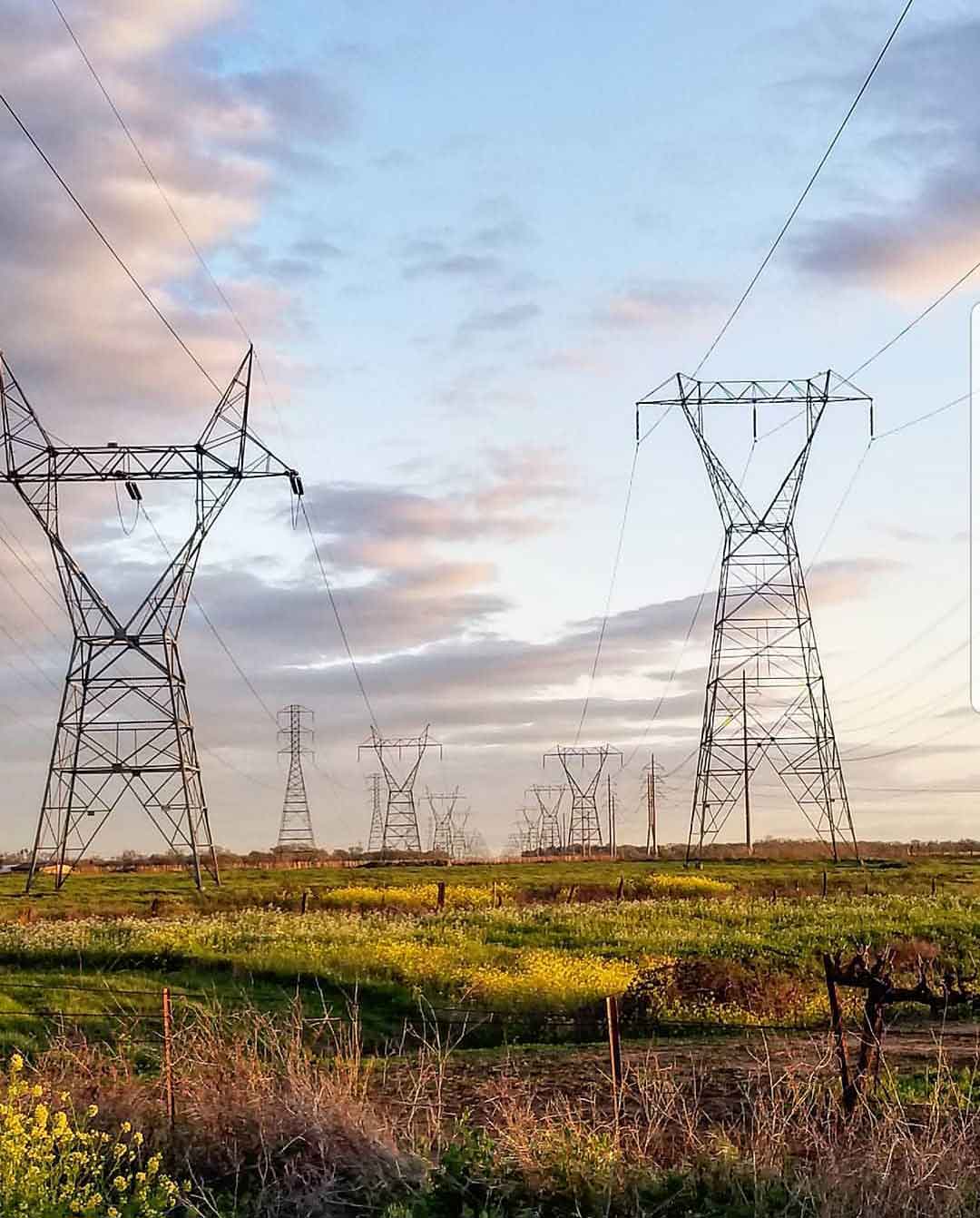 Electric transmission towers across wetlands
