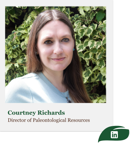 Profile picture of Courtney Richards, Director of Paleontological Resources at Bargas Environmental Consulting.