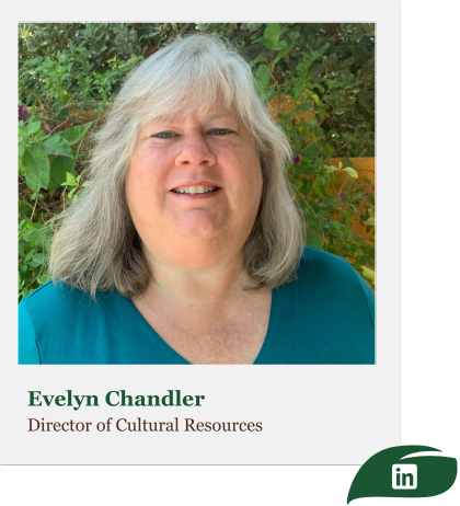 Profile picture of Evelyn Chandler, Director of Cultural Resources at Bargas Environmental Resources.